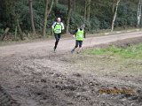 Bosloop Brecht - 36.jpg